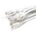CAT6A-05 RJ45網路線 網路線 CAT.6 網路線 RJ45 CAT6 灰色 全新PVC材質 Cat6 UTP網路線1m 短網線 跳線 cat6
